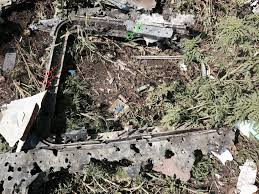 Image result for mh17 30mm bullet holes